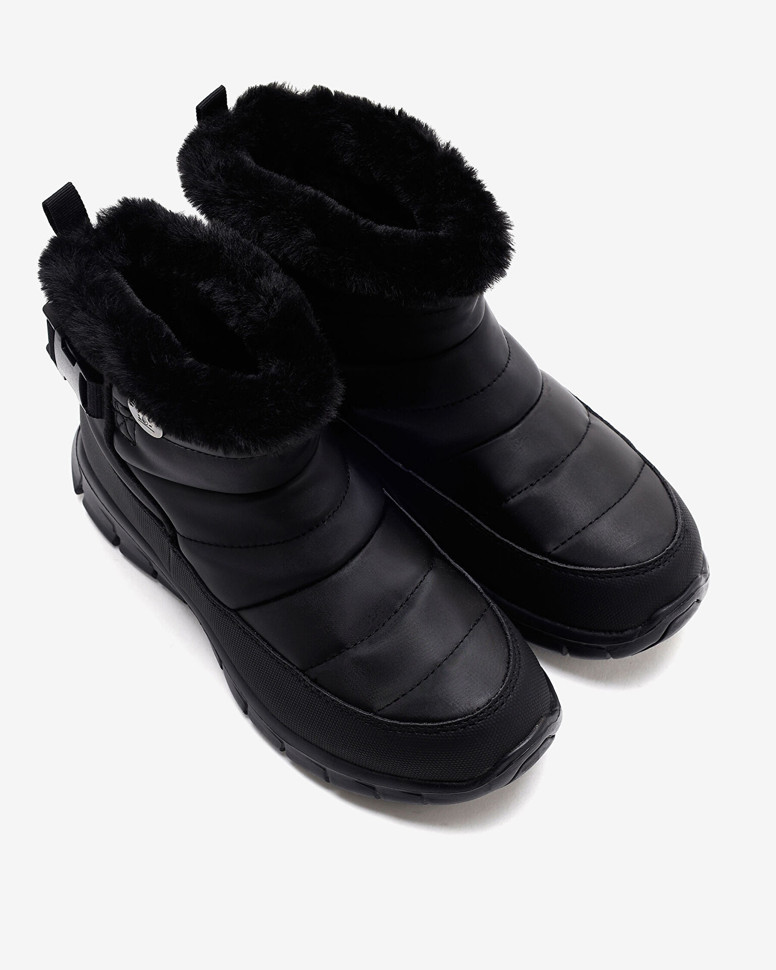 Resim Synergy  -  Nocturne